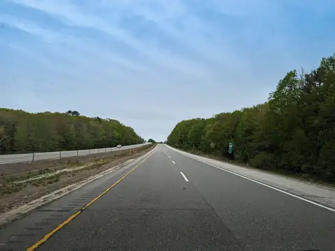 A divided highway between tree lines under a pale sky