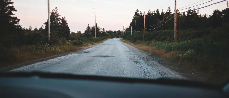 A country road between pines, seen through the windshield