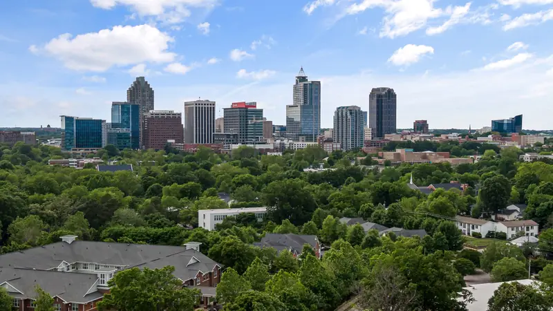 The Raleigh skyline over the trees on a clear day